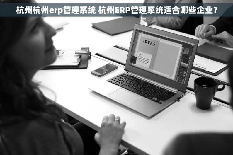 杭州杭州erp管理系统 杭州ERP管理系统适合哪些企业？