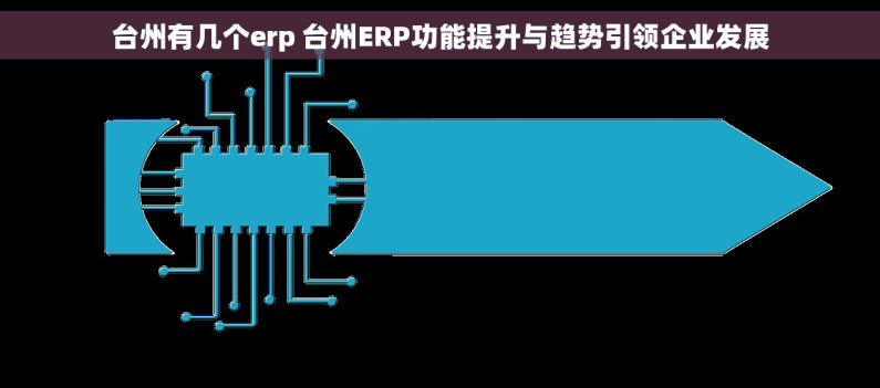 台州有几个erp 台州ERP功能提升与趋势引领企业发展