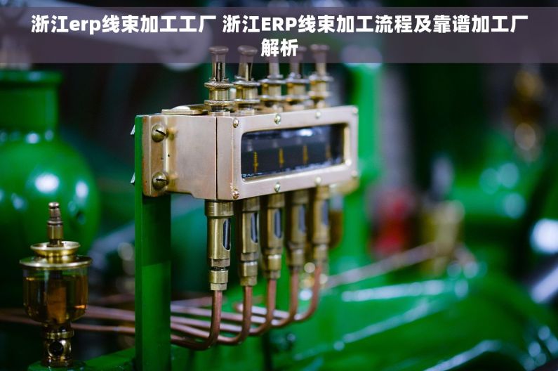 浙江erp线束加工工厂 浙江ERP线束加工流程及靠谱加工厂解析