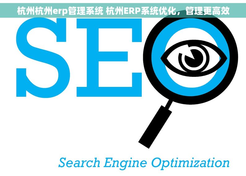 杭州杭州erp管理系统 杭州ERP系统优化，管理更高效