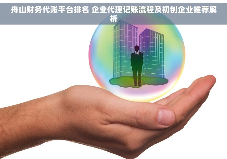 舟山财务代账平台排名 企业代理记账流程及初创企业推荐解析