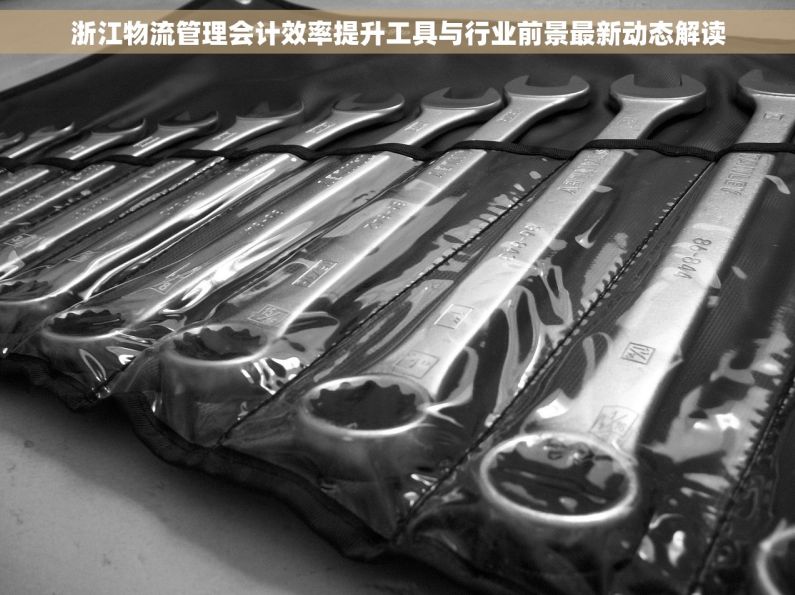 浙江物流管理会计效率提升工具与行业前景最新动态解读
