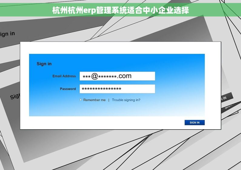 杭州杭州erp管理系统适合中小企业选择