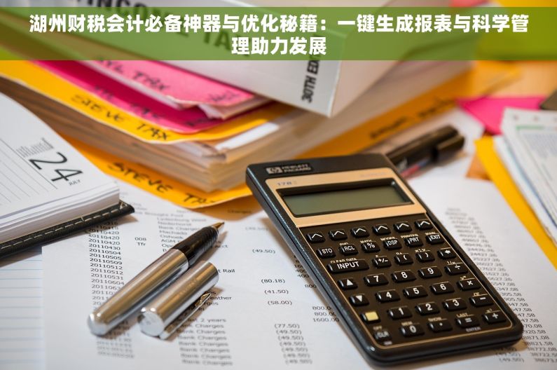 湖州财税会计必备神器与优化秘籍：一键生成报表与科学管理助力发展