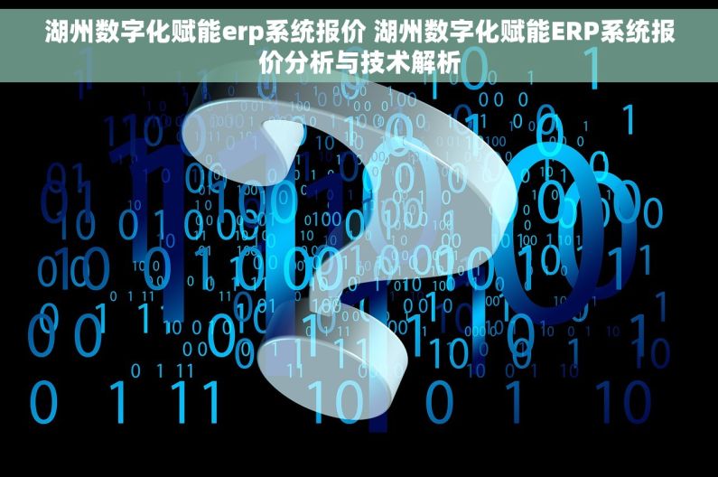 湖州数字化赋能erp系统报价 湖州数字化赋能ERP系统报价分析与技术解析