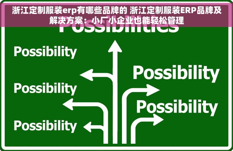 浙江定制服装erp有哪些品牌的 浙江定制服装ERP品牌及解决方案：小厂小企业也能轻松管理