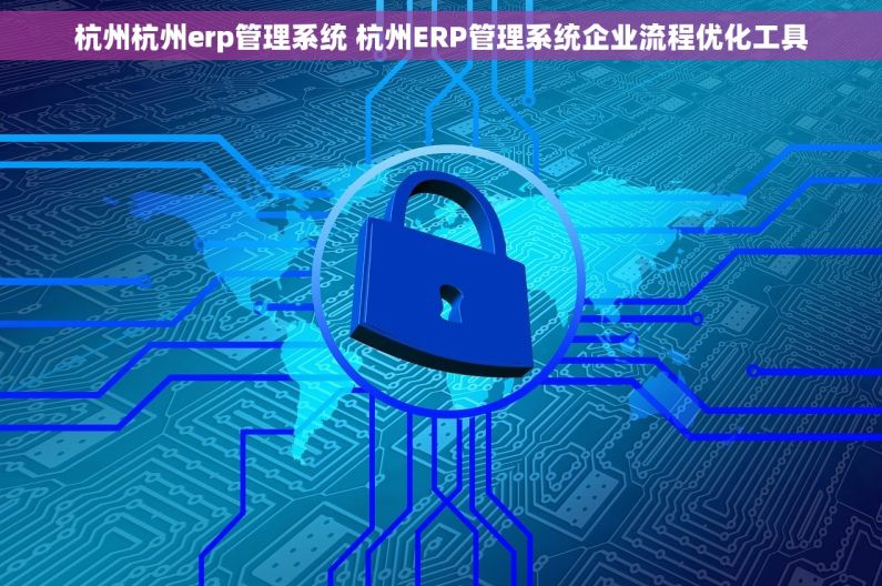 杭州杭州erp管理系统 杭州ERP管理系统企业流程优化工具
