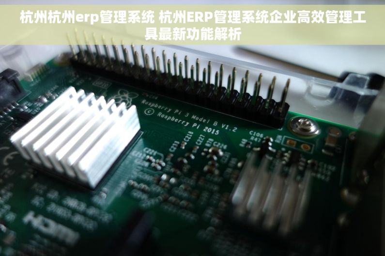 杭州杭州erp管理系统 杭州ERP管理系统企业高效管理工具最新功能解析