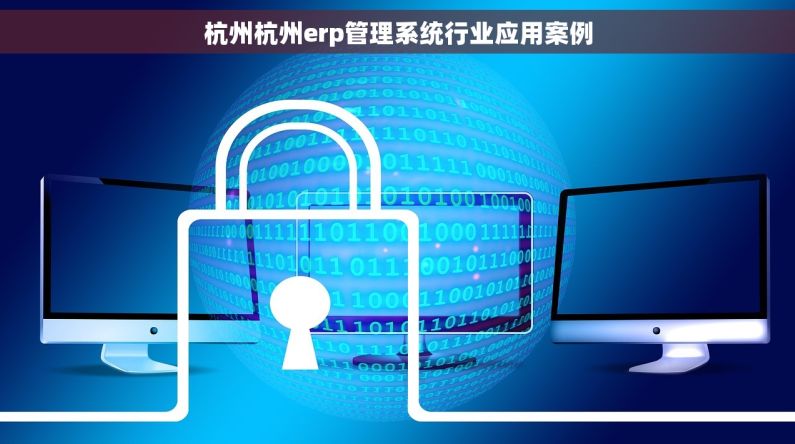 杭州杭州erp管理系统行业应用案例