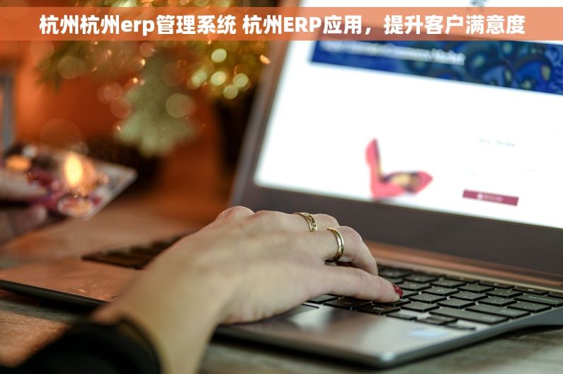 杭州杭州erp管理系统 杭州ERP应用，提升客户满意度