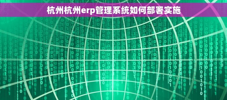 杭州杭州erp管理系统如何部署实施