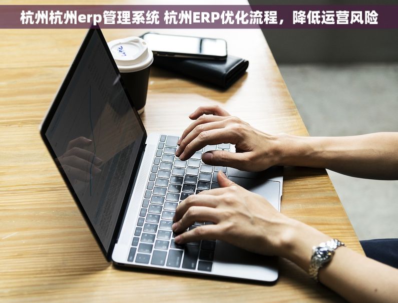 杭州杭州erp管理系统 杭州ERP优化流程，降低运营风险