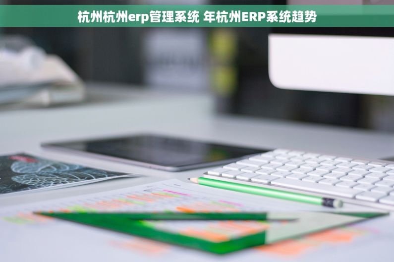 杭州杭州erp管理系统 年杭州ERP系统趋势