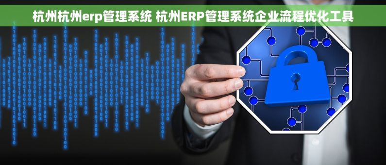 杭州杭州erp管理系统 杭州ERP管理系统企业流程优化工具