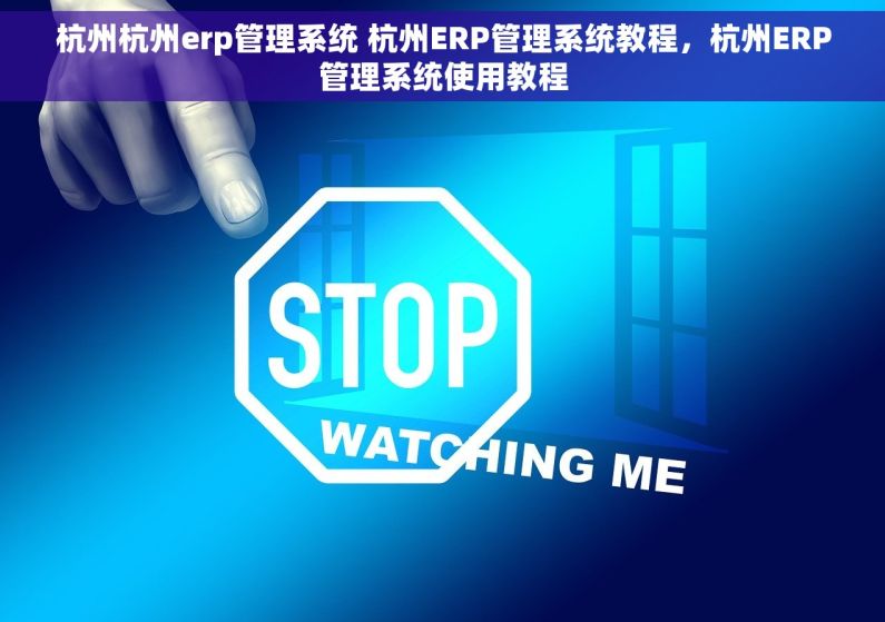 杭州杭州erp管理系统 杭州ERP管理系统教程，杭州ERP管理系统使用教程