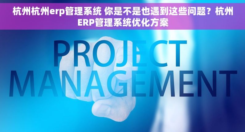 杭州杭州erp管理系统 你是不是也遇到这些问题？杭州ERP管理系统优化方案