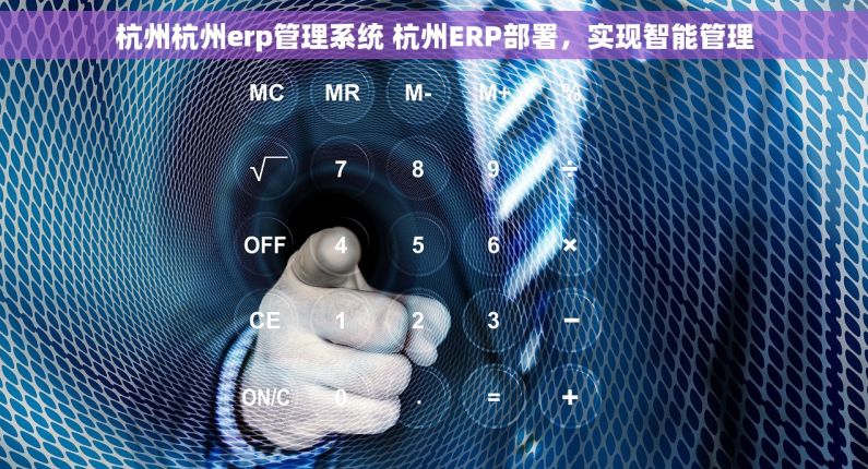 杭州杭州erp管理系统 杭州ERP部署，实现智能管理