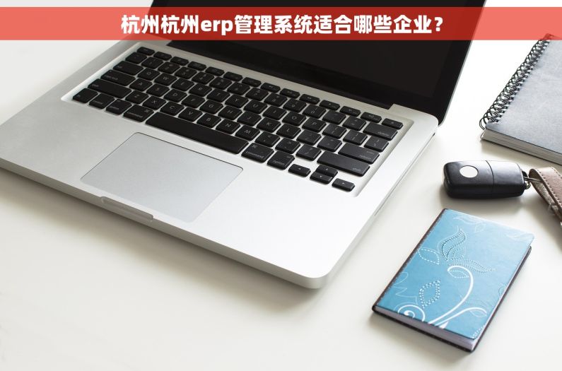 杭州杭州erp管理系统适合哪些企业？