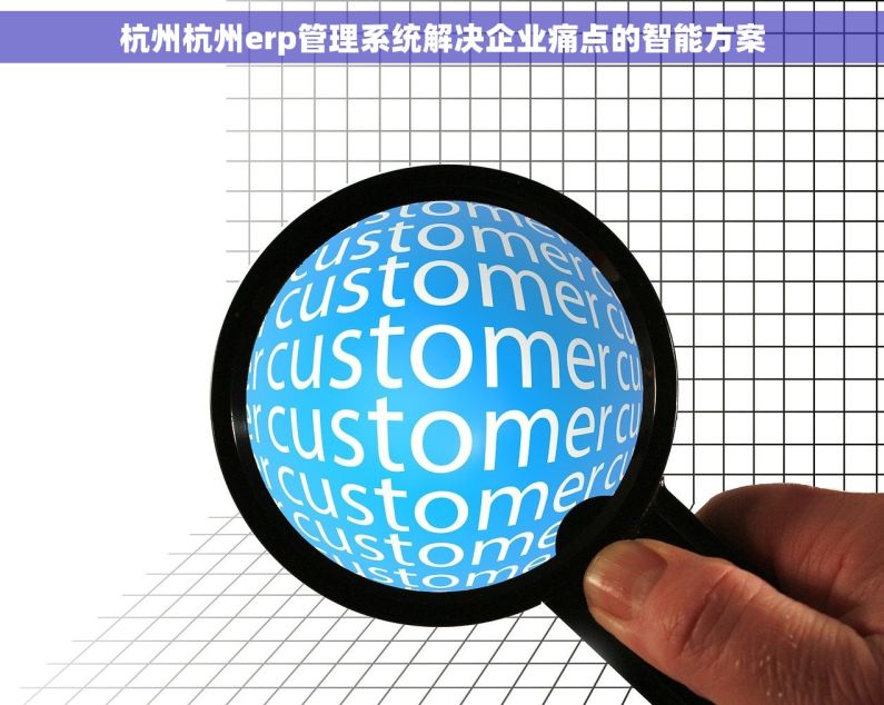 杭州杭州erp管理系统解决企业痛点的智能方案