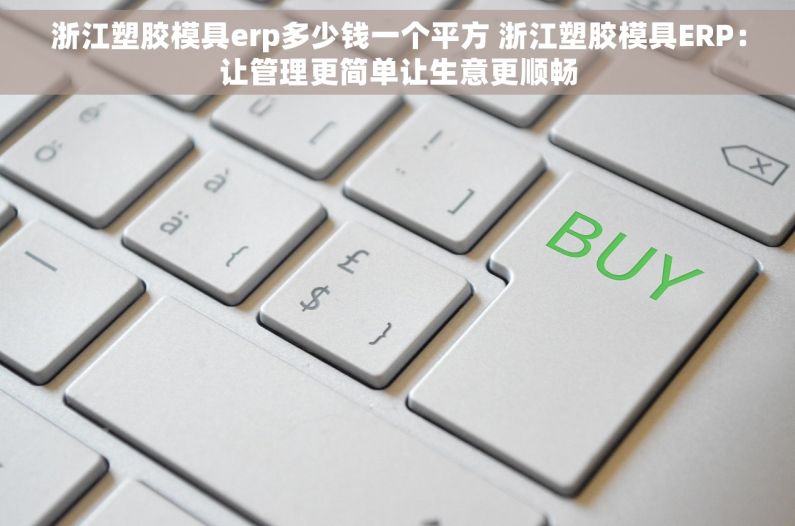 浙江塑胶模具erp多少钱一个平方 浙江塑胶模具ERP：让管理更简单让生意更顺畅