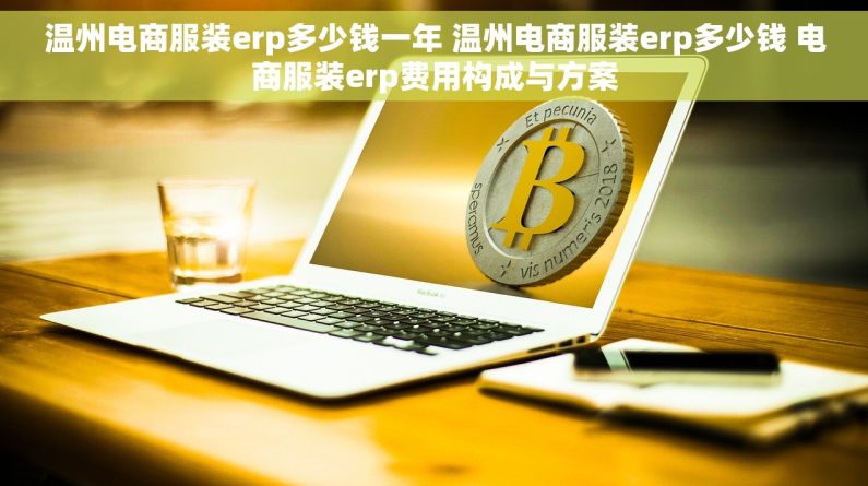 温州电商服装erp多少钱一年 温州电商服装erp多少钱 电商服装erp费用构成与方案