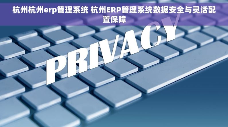 杭州杭州erp管理系统 杭州ERP管理系统数据安全与灵活配置保障