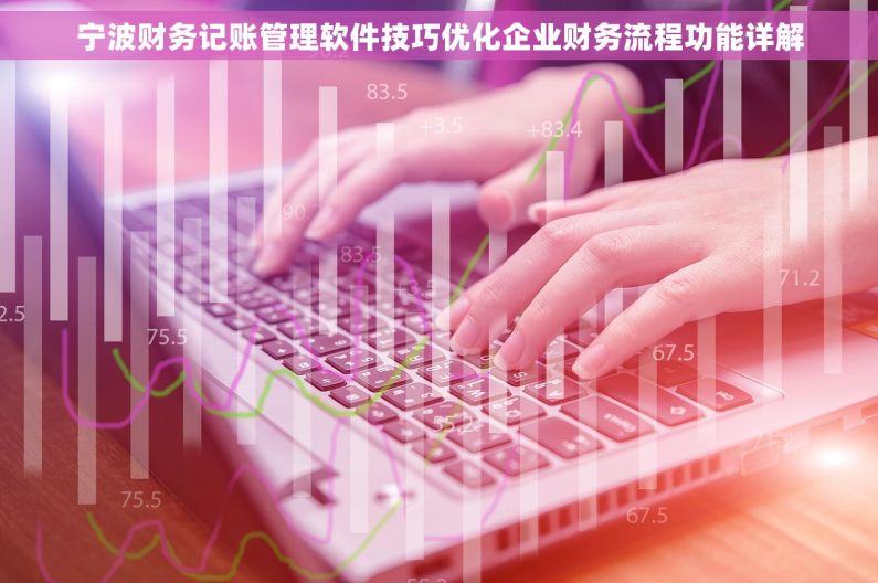 宁波财务记账管理软件技巧优化企业财务流程功能详解