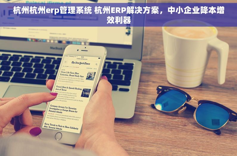 杭州杭州erp管理系统 杭州ERP解决方案，中小企业降本增效利器