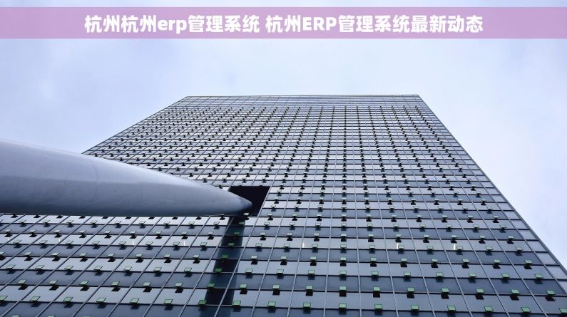 杭州杭州erp管理系统 杭州ERP管理系统最新动态