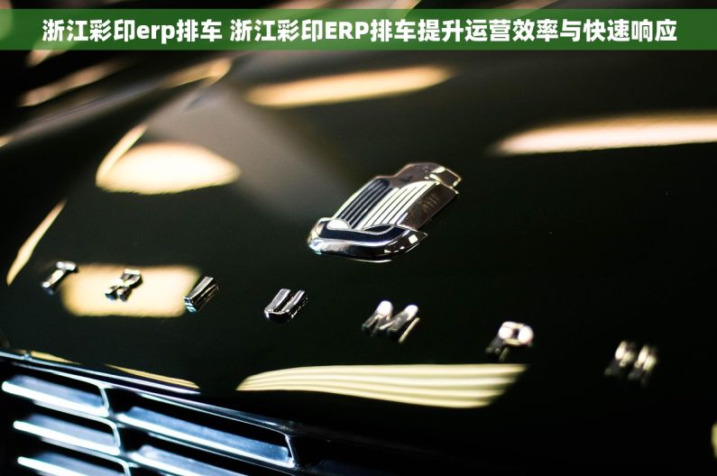 浙江彩印erp排车 浙江彩印ERP排车提升运营效率与快速响应