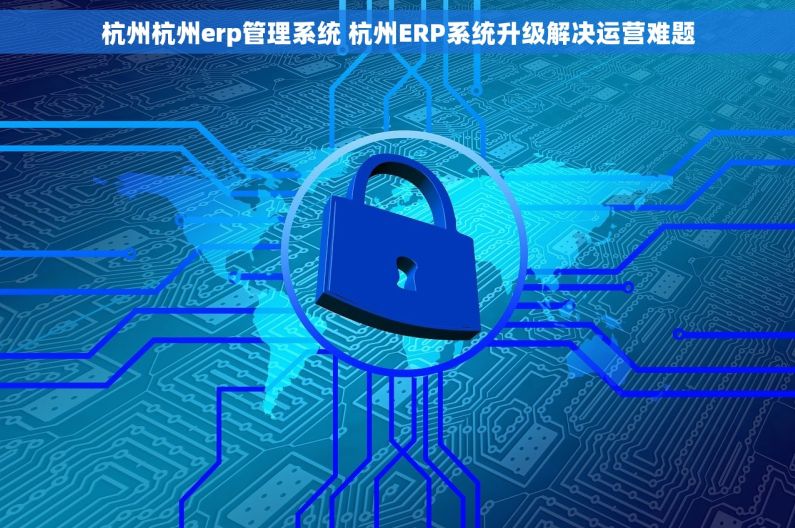 杭州杭州erp管理系统 杭州ERP系统升级解决运营难题