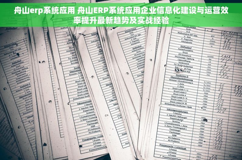 舟山erp系统应用 舟山ERP系统应用企业信息化建设与运营效率提升最新趋势及实战经验