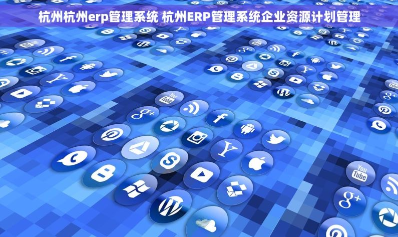 杭州杭州erp管理系统 杭州ERP管理系统企业资源计划管理