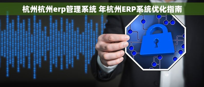 杭州杭州erp管理系统 年杭州ERP系统优化指南