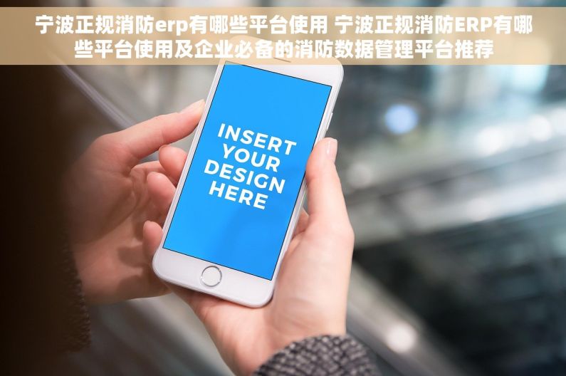 宁波正规消防erp有哪些平台使用 宁波正规消防ERP有哪些平台使用及企业必备的消防数据管理平台推荐