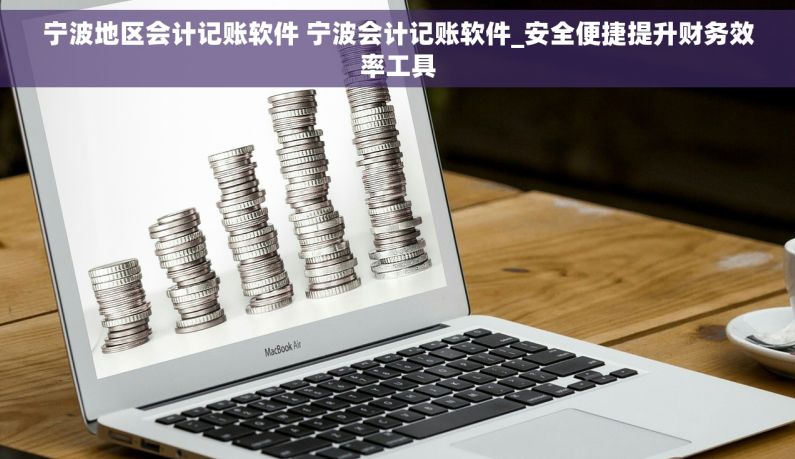 宁波地区会计记账软件 宁波会计记账软件_安全便捷提升财务效率工具