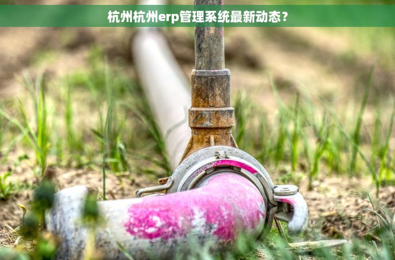 杭州杭州erp管理系统最新动态？