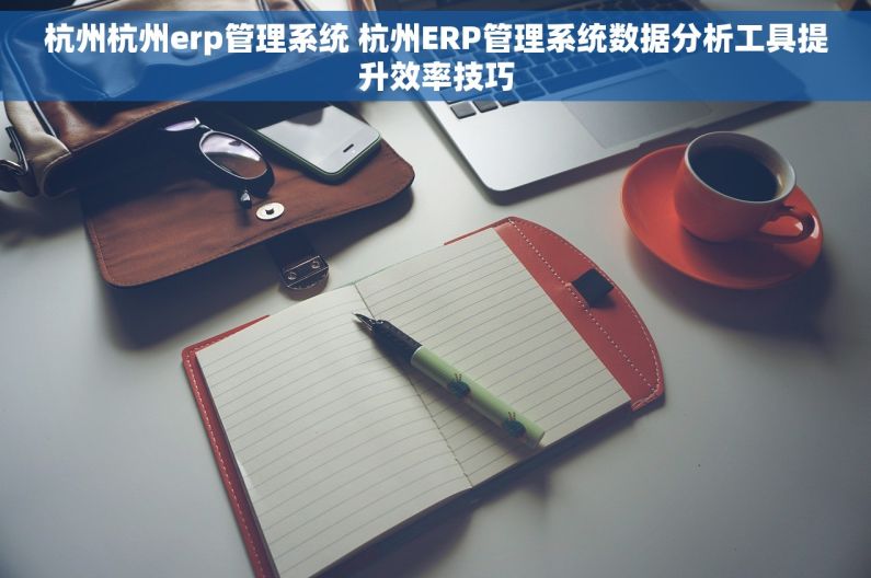 杭州杭州erp管理系统 杭州ERP管理系统数据分析工具提升效率技巧