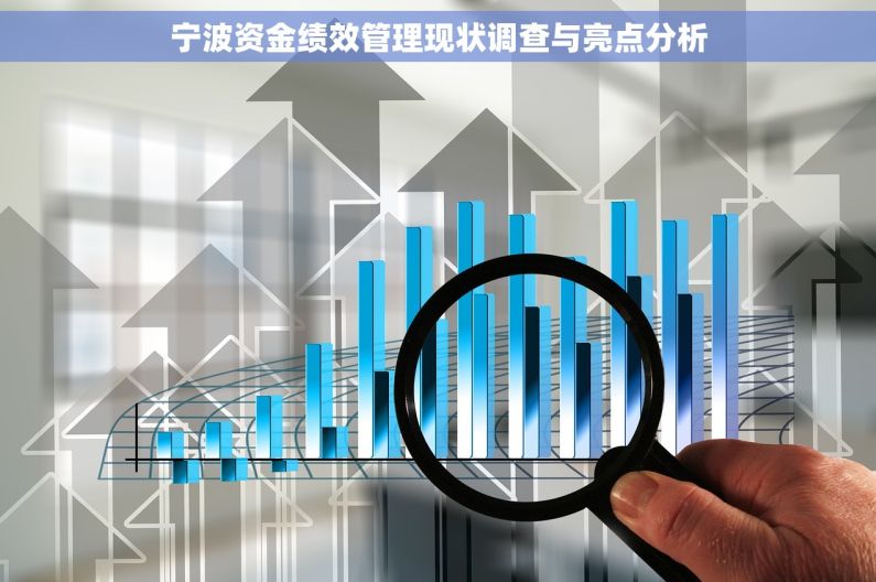 宁波资金绩效管理现状调查与亮点分析