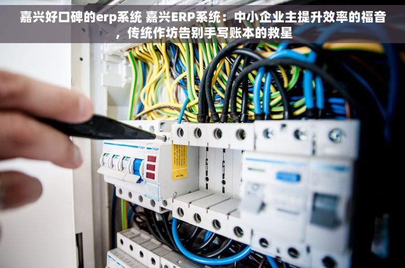 嘉兴好口碑的erp系统 嘉兴ERP系统：中小企业主提升效率的福音，传统作坊告别手写账本的救星