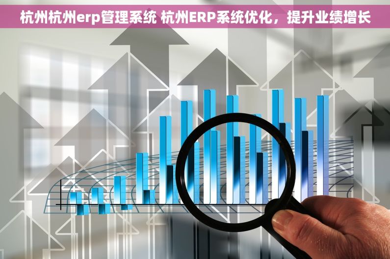 杭州杭州erp管理系统 杭州ERP系统优化，提升业绩增长