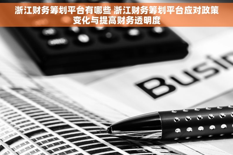 浙江财务筹划平台有哪些 浙江财务筹划平台应对政策变化与提高财务透明度