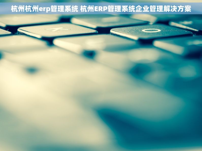 杭州杭州erp管理系统 杭州ERP管理系统企业管理解决方案