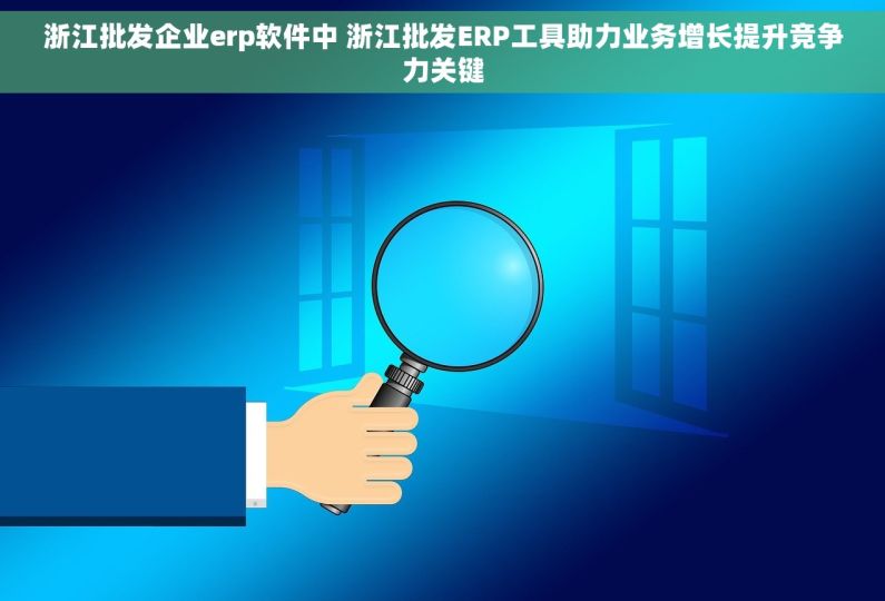 浙江批发企业erp软件中 浙江批发ERP工具助力业务增长提升竞争力关键