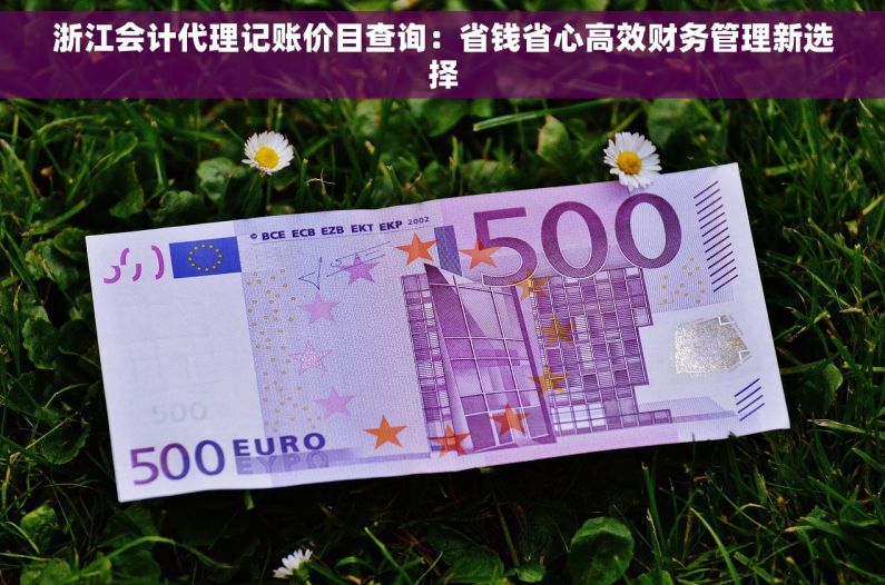 浙江会计代理记账价目查询：省钱省心高效财务管理新选择