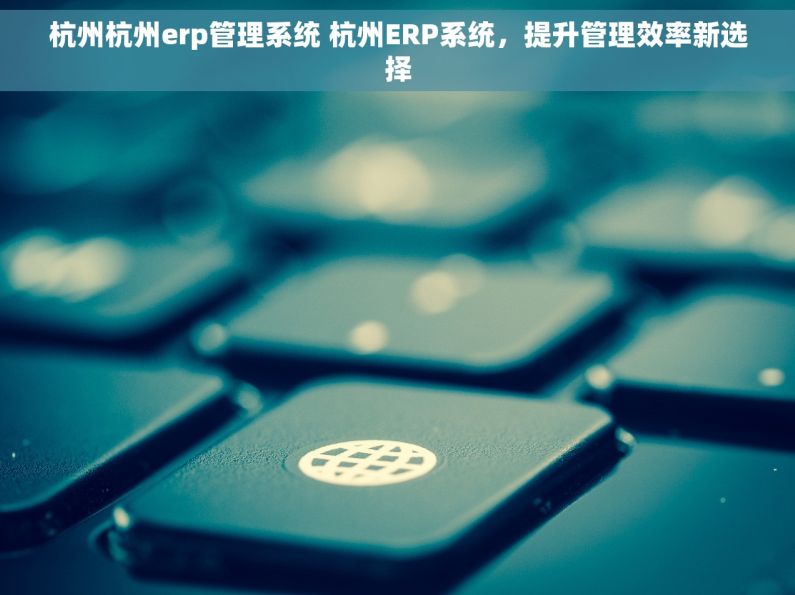 杭州杭州erp管理系统 杭州ERP系统，提升管理效率新选择
