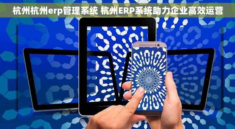 杭州杭州erp管理系统 杭州ERP系统助力企业高效运营