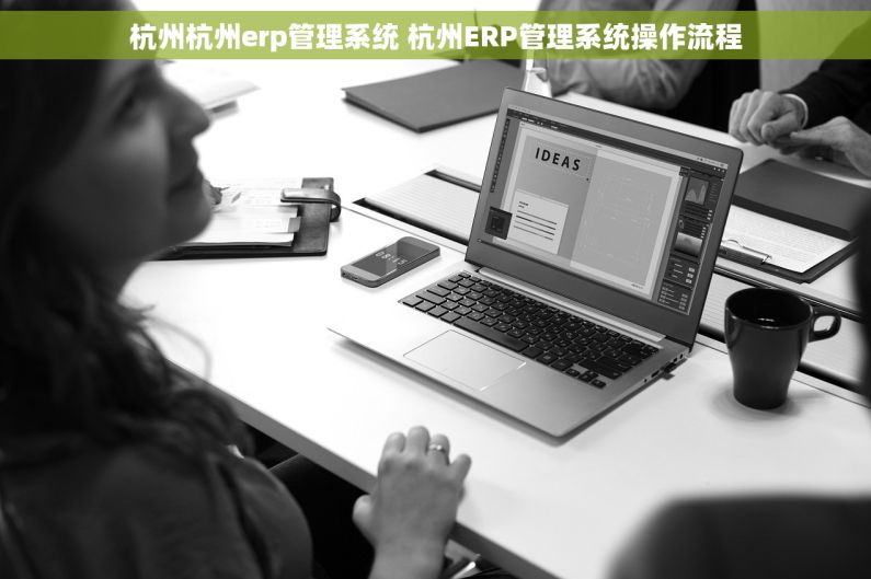杭州杭州erp管理系统 杭州ERP管理系统操作流程