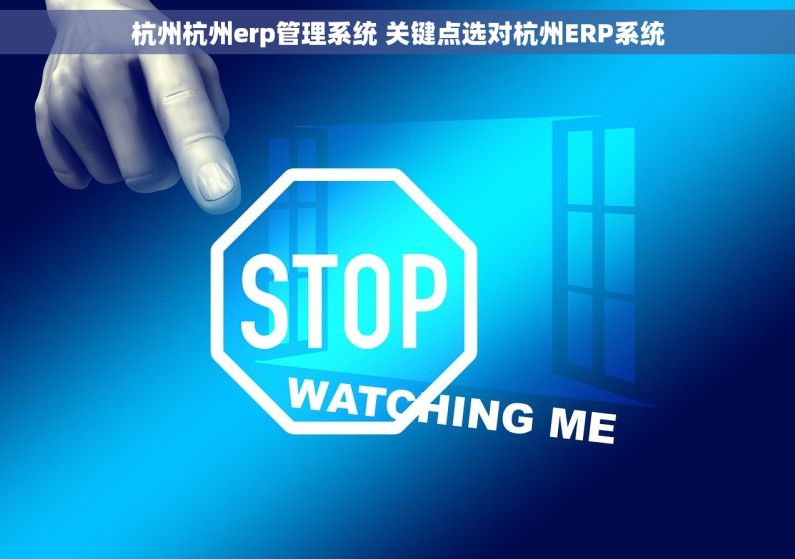 杭州杭州erp管理系统 关键点选对杭州ERP系统