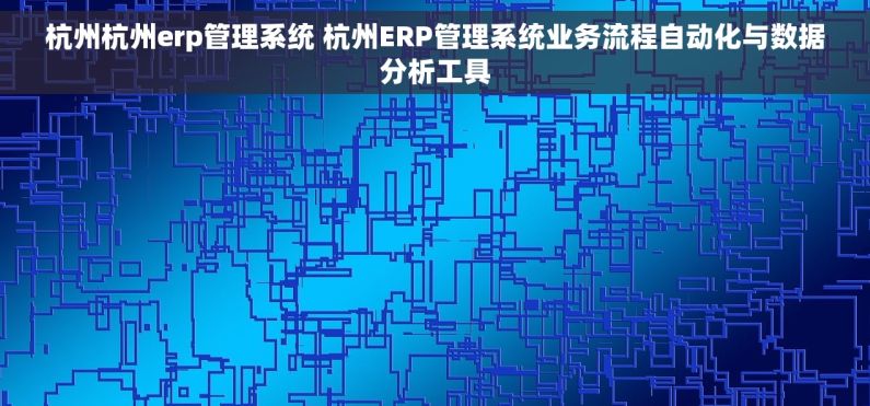 杭州杭州erp管理系统 杭州ERP管理系统业务流程自动化与数据分析工具